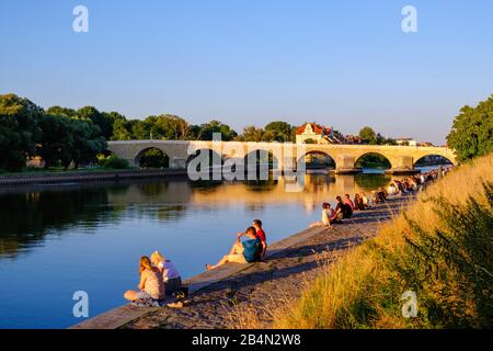 Weinlände und Steinbrücke über die Donau im Abendlicht, Regensburg, Oberpfalz, Bayern, Deutschland Stockfoto