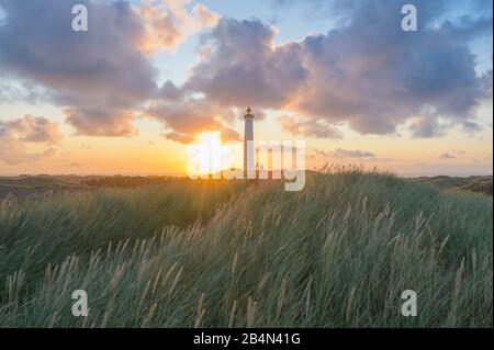 Leuchtturm in der Dünenlandschaft bei Sonnenaufgang, Lyngvig FYR, Hvide Sande, Ringkobing-Fjord, Nordsee, Midtjylland, Mitteljütland, Dänemark Stockfoto