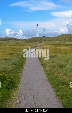 Leuchtturm in Dünenlandschaft mit Fußweg im Sommer, Lyngvig FYR, Hvide Sande, Ringkobing-Fjord, Nordsee, Midtjylland, Mitteljütland, Dänemark Stockfoto