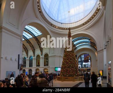 Dresden, Hauptbahnhof 'Dresden Hauptbahnhof', Haupthalle, Weihnachtsdekoration, Sachsen, Deutschland Stockfoto