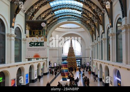 Dresden, Hauptbahnhof 'Dresden Hauptbahnhof', Haupthalle, Weihnachtsdekoration, Sachsen, Deutschland Stockfoto