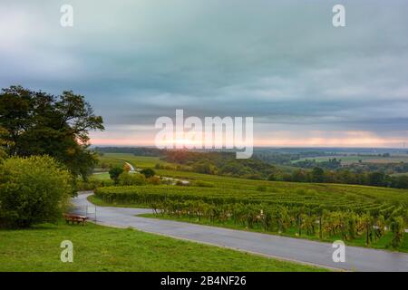 Gleiszellen-Gleishorbach, Weinberg, Blick ins Rheintal an der Deutschen Weinstraße, Rheinland-Pfalz, Deutschland Stockfoto