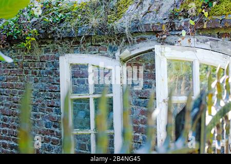 Schlechtes Milieu im Hinterhof. Beaumont-en-Auge im Département Calvados in der Region Normandie Stockfoto