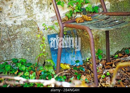 Schlechtes Milieu im ehemaligen Kräutergarten. Beaumont-en-Auge im Département Calvados in der Region Normandie Stockfoto