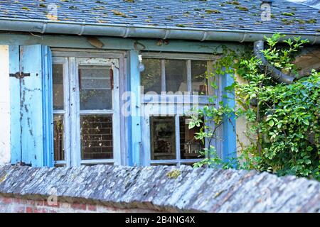 Schlechtes Milieu im Hinterhof. Beaumont-en-Auge im Département Calvados in der Region Normandie Stockfoto