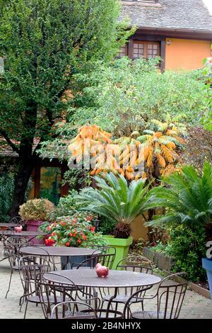 Turckheim ist eine französische Gemeinde im Elsaß. Das Departement Haut-Rhin in der Region Grand EST. Stockfoto