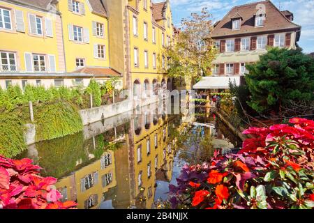 Colmar ist eine Stadt im Elsaß in Frankreich. Die Altstadt ist geprägt von Kopfsteinpflaster und Fachwerkhäusern aus dem Mittelalter und der Renaissance. Stockfoto