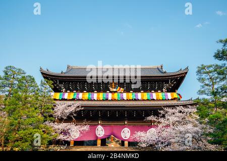 Chion-in-Tempel mit Frühlingskirschblüten in Kyoto, Japan Stockfoto