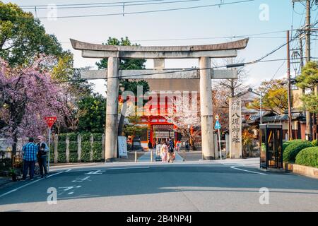 Kyoto, Japan - 8. April 2019: Yasaka-Schrein Torii-Tor im Frühjahr Stockfoto