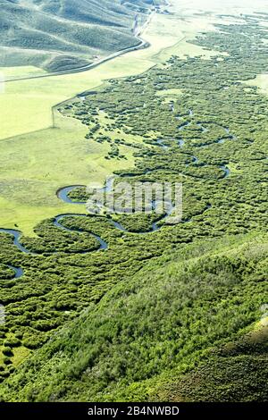 Ein Luftbild der Wendungen und Kurven eines natürlich auftretenden Gebirgsstroms in den Bergen von Idaho. Stockfoto