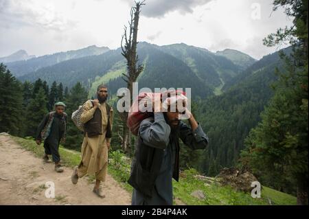 Pahalgam, Jammu und Kashmir, Indien - 01. August 2011: Zigeunermänner aus Gujjjar, die in den ländlichen Gebieten von Pahalgam im Aru-Tal spazieren gehen Stockfoto