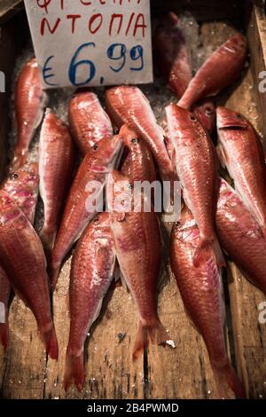 Fisch auf dem Markt, schwarze Scheide (espada) auf dem Fischmarkt Stockfoto