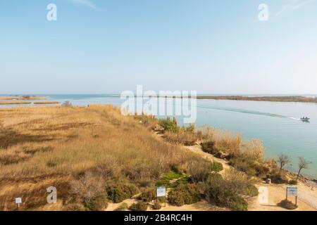 Der Naturpark des Deltas del ebro in Tarragona, Spanien Stockfoto