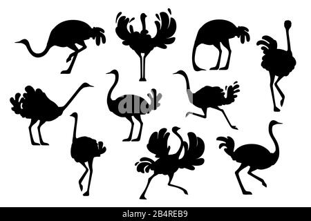 Schwarze Silhouette Set aus süßer straußenafrikanischer, fließenloser Vogel-Cartoon Tierdesign flache Vektorgrafiken isoliert auf weißem Hintergrund. Stock Vektor