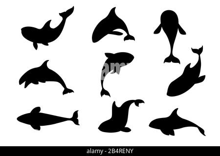 Schwarze Silhouette Set aus Killerwal (Orcinus Orca) Cartoon Tierdesign Ocean Mammal Orca flache Vektorgrafiken isoliert auf weißem Hintergrund. Stock Vektor