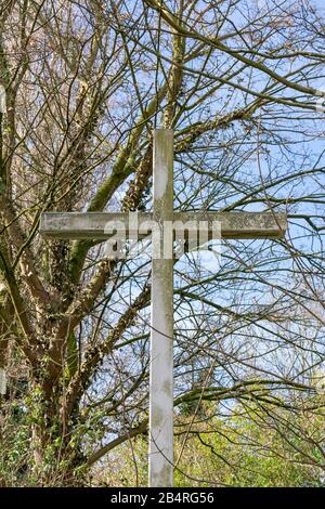 Großes verwittertes Holzkreuz und hinter einem Baum und Sträuchern Stockfoto