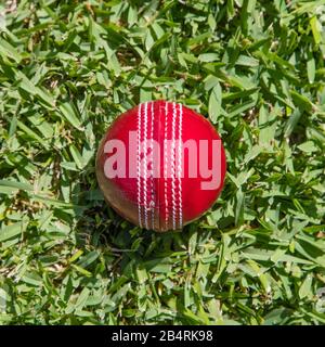 Nahaufnahme des roten Lederballs auf grünem Gras. Cricket ist eine beliebte Sportart in Nationen wie Australien, Indien, Neuseeland, England und South afri Stockfoto