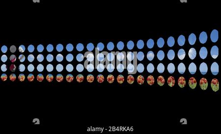 3D-Rendering des Wandlayouts für 3D-Punkte Stockfoto
