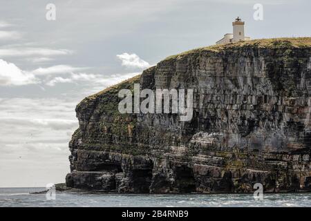 Großbritannien - Schottland - Duncansby Head liegt im äußersten Norden Schottlands, mit fantastischen steilen Klippen, die senkrecht auf dem Nordmeer abragen. Stockfoto