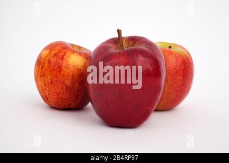 Ein Studio-Foto von Äpfeln vor weißem Hintergrund Stockfoto