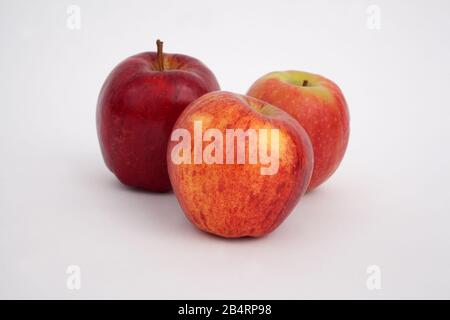 Ein Studio-Foto von Äpfeln vor weißem Hintergrund Stockfoto