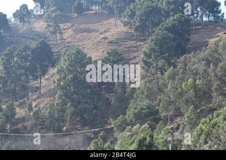 Schöner Blick auf den Bahnhof Shimla Pahari in Abbottabad Stockfoto