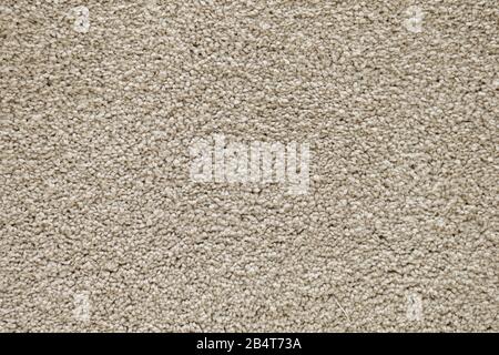Moderne graue Teppichstruktur. Hintergrund. Nahaufnahme. Stockfoto