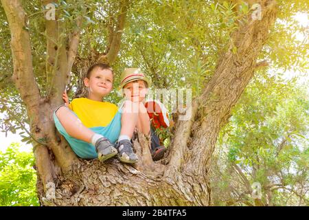 Kleine Jungen, die sich am Baum entspannen. Glückliche Geschwister haben Spaß am Baum. Sommerferienkonzept. Sommerurlaub. Fröhlicher Hintergrund in der Kindheit. Das Glück auf den Kindern steht. Aktivitäten im Freien. Kindergarten Stockfoto