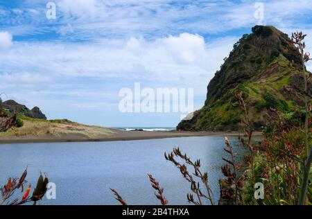 Der markante vulkanische Löwenfelsen in Piha, in der Nähe von Auckland an der Westküste von North Island, Neuseeland Stockfoto