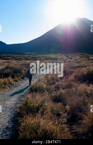 Wanderer beginnen den 19 km langen Trek der Tongariro Alpine Crossing, während die frühe Morgensonne über den Kegel des Mount Ngauruhoe, Neuseeland platzt. Stockfoto