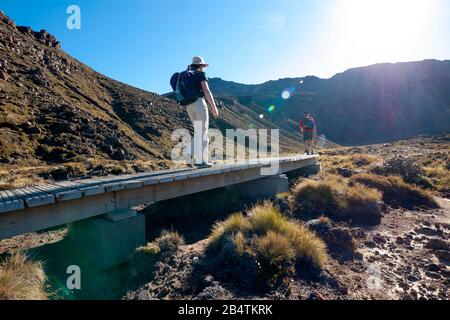 Wanderer beginnen den 19 km langen Treck des Tongariro Alpine Crossing, Neuseeland. Am frühen Morgen. Stockfoto