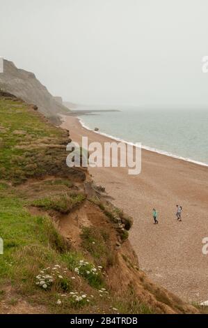 Blick auf den Eype-Strand an der Jurrasic-Küste von Dorset, England, an einem übergiebelten und nebligen Sommertag. Stockfoto