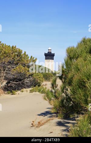 Der Leuchtturm von Espiguette Beach, Occitanie France Stockfoto