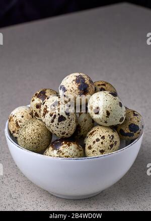 Wachteleier in einer weißen Schüssel auf grauem Grund Stockfoto