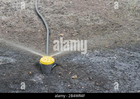 Bewässerungssystem. Gartenbewässerungssystem Bewässerung Rasen. Bewässerungssystem in Funktion. Stockfoto