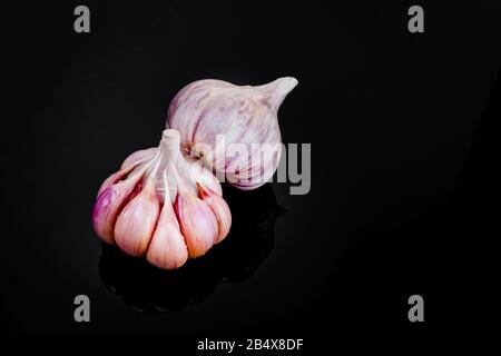 Frische Knoblauchzwiebeln auf schwarzem Hintergrund. Stockfoto