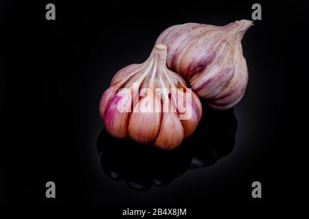 Frische Knoblauchzwiebeln auf schwarzem Hintergrund. Stockfoto