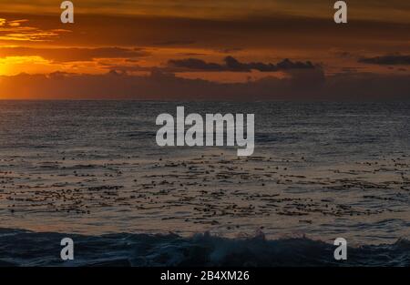 Sonnenuntergang an der kalifornischen Küste bei Carmel, Blick auf Point Lobos. Kalifornien. Stockfoto