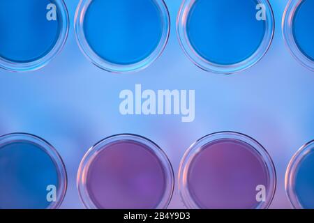 Direkt von oben flacher Laienschuss von Reagenzgläsern mit farbigen Flüssigkeiten auf hellblauem Hintergrund Stockfoto