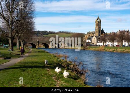 Blick auf den Fluss Tweed, der durch die Stadt Peebles in den schottischen Grenzen fließt, Schottland, Großbritannien Stockfoto