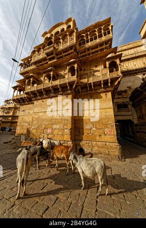 Jaisalmer, Rajasthan, indien. Januar 2014. Das weitläufige Jaisalmer Fort und seine engen Gassen, Rajasthan, Indien. Stockfoto