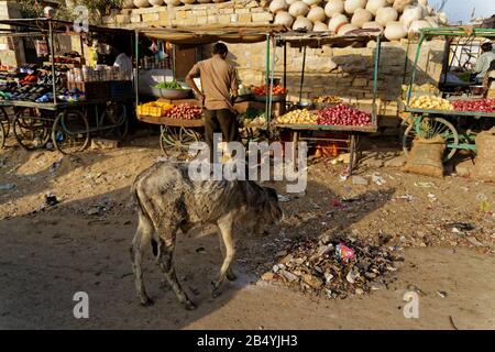 Jaisalmer, Rajasthan, indien. Januar 2014. Gemüsehändler auf Gadisar Rd in Jaisalmer, Rajasthan, indien. Stockfoto