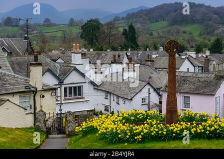 Ein von Narzissen umgebenen Denkmal auf dem Gelände der St Michaels und Der All Angels Church mit dem Dorf Hawkshead, Cumbria, im Hintergrund. Stockfoto