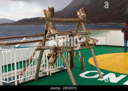 Codfish-Köpfe, die an Deck eines norwegischen Postschiffs als Köder präsentiert wurden, um Weißwedeladler anzulocken Stockfoto