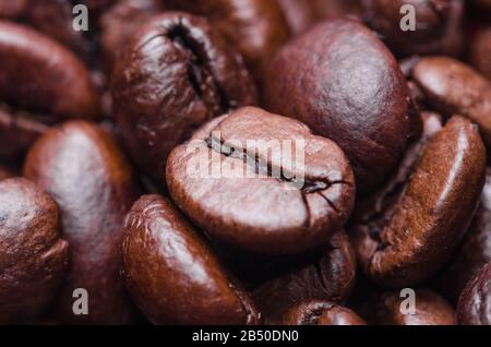 Kaffeebohnen, auftraggerecht ausgerichtete Organisation, geröstete, Nah-Makro-Stillleben, isoliert auf weißem Hintergrund, Blick von direkt oben Stockfoto