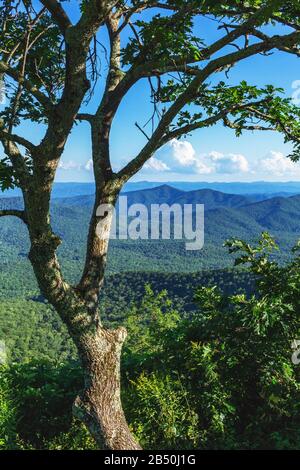 Der Blick vom Pisgah Inn auf den Mount Pisgah, auf den Blue Ridge Parkway in Waynesville, NC, USA, hat eine atemberaubende Aussicht. Stockfoto