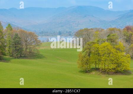 Lake Windermere auf dem Gelände von Wray Castle, Low Wray, Lake District National Park, Cumbria, Großbritannien, an einem unschönen Aprilnachmittag. Stockfoto