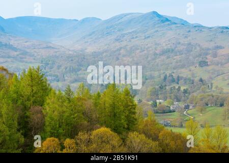 Hazy Fells und Woodland in der Nähe der Stadt Ambleside aus Loughrigg Fell, Lake District, Cumbria, England, mit Blick nach Nordosten an einem Aprilabend. Stockfoto