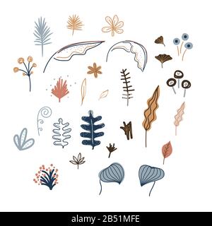 Handgezeichnete Pflanzen und Blumenvektor-Illustrationsset. Stock Vektor