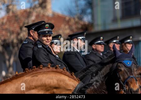 Sofia, Bulgarien - 03. März 2020: Reit-Ostern oder Todor-Tag in Bulgarien, Polizisten, die Pferde im Urlaub fahren. Sprung zu Pferd. Stockfoto